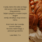 Kruh, Luka Reli